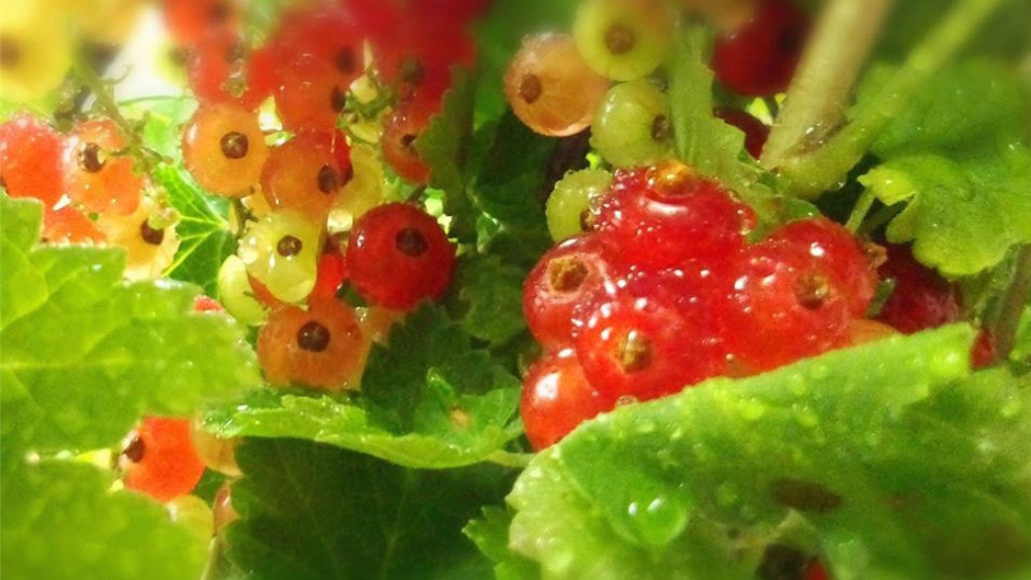 むちうち内田さん02