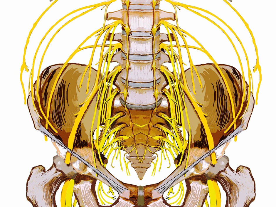 三鷹の高井戸整骨院