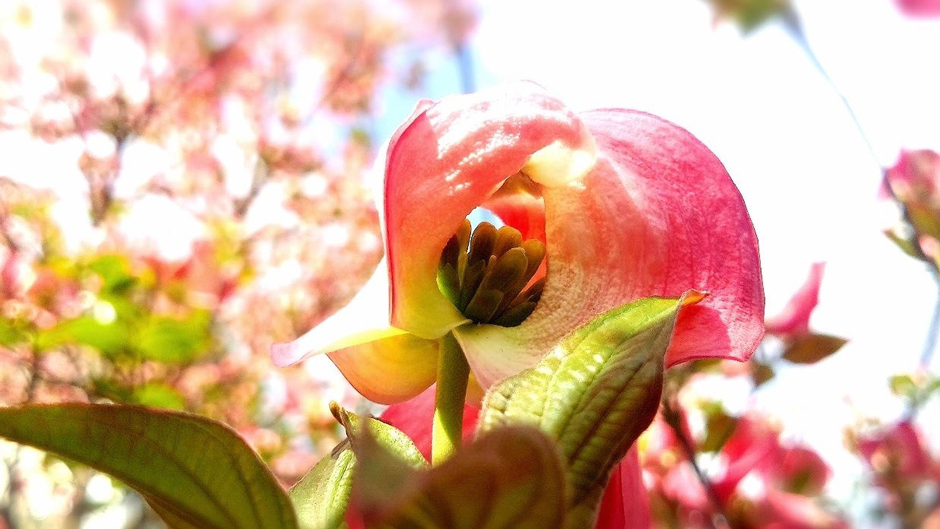 ペインS内田さん03