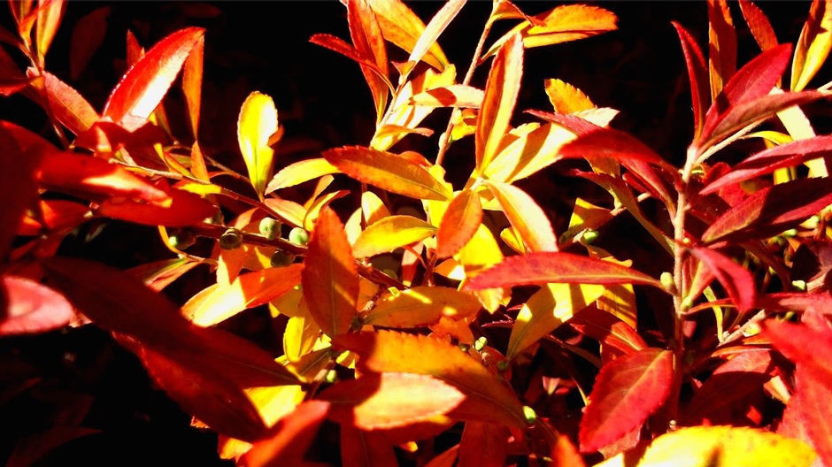 ペインS内田さん04