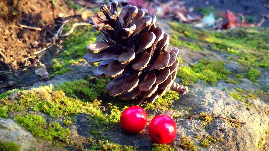 腰痛内田さん16